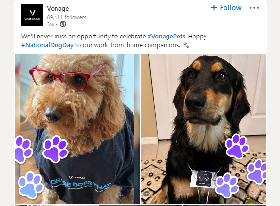 Vonage celebrating national dog day on social media