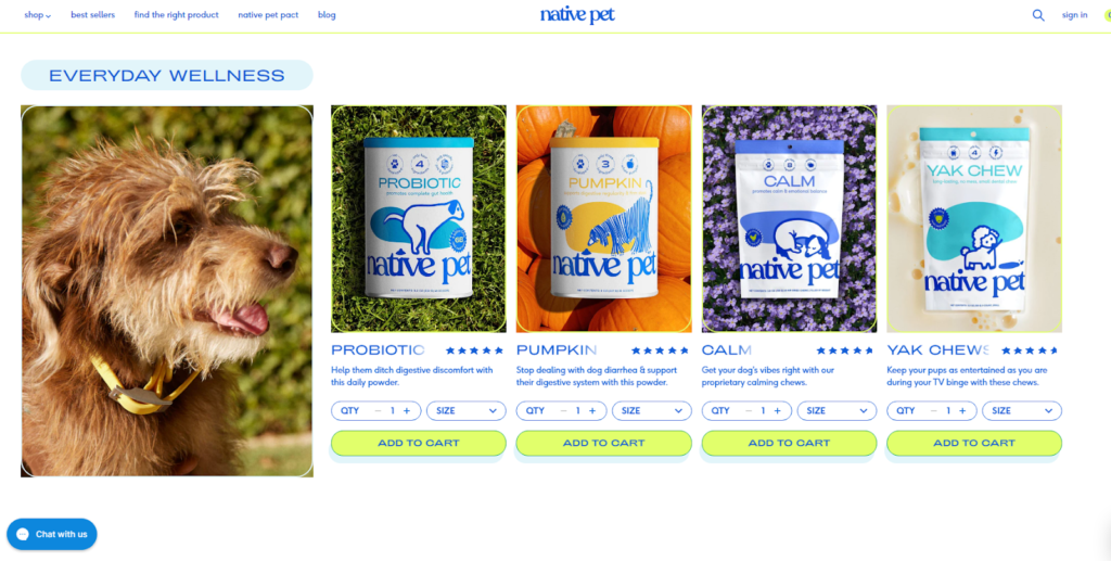 Web design best practices: Image of Native Pet's website from a computer 