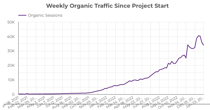 Case Study: Chart showing the traffic growth of Growth Machine's pet supplement client